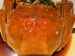 -苏帮袁Sue Cuisine(南开大悦城店)
