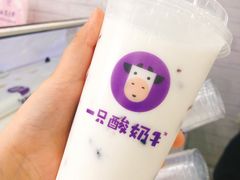 -一只酸奶牛(八一路店)