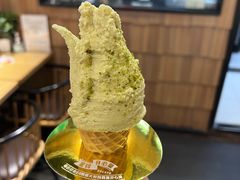开心果Gelato-野人先生现做冰淇淋(北京顺义祥云小镇店)