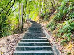 -火炉山森林公园