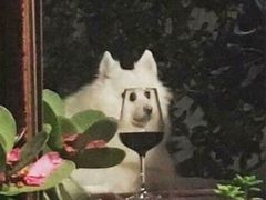 -皇冠幸福里动物奶油生日蛋糕(光谷软件园店)