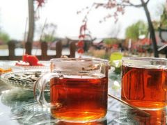 -茯茶镇