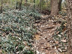 -南山风景名胜区
