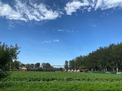 -尚庄度假村·庭台树下·户外烧烤·团建CS·轰趴营地(上庄水库店)