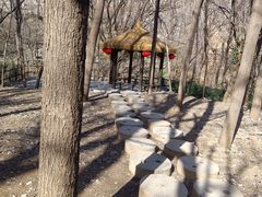 -井塘古村