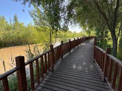 -伊犁河风景区
