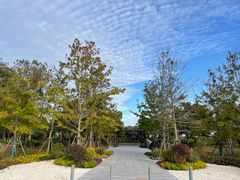 -春花秋色城市公园