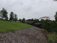 -大塘金香草谷