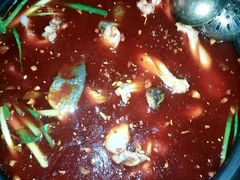 -金海椒罐罐鲢鱼(东方桂苑店)