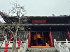 -灵谷景区