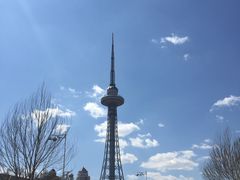 -龙塔