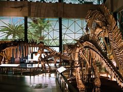 -湖南省地质博物馆