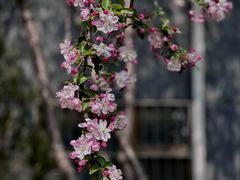 -南长河公园