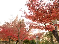 -南通博物苑-崇川人民公园