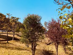 -呼吸森林·生态农庄农家乐私房菜