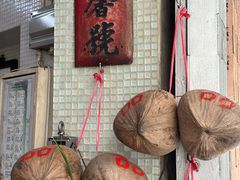 -洪馨椰子