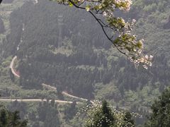 -舒家湾天主教堂