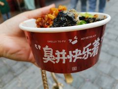 -黑色经典臭豆腐·湖南特产(坡子街店)