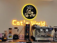 -猫域·湾主题猫咖·宠物吧(南坪城市广场店)