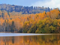 -五营红松林海景区