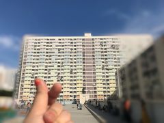 -彩虹村