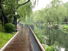 -南长河公园