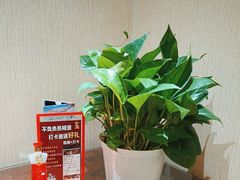 -九龙大酒店·金牌楚菜(武泰闸店)