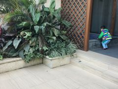 -碧桂园润杨溪谷温泉酒店