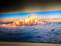 -罗红摄影艺术馆