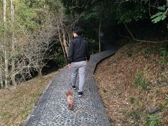 -广东温泉宾馆