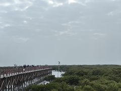 -北海金海湾红树林生态旅游区