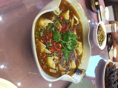 -秀丽东方