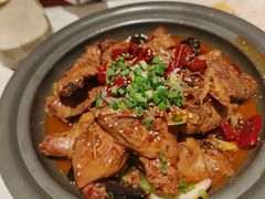 -大铁勺新津菜(熙悦汇店)