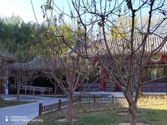 -西海子公园