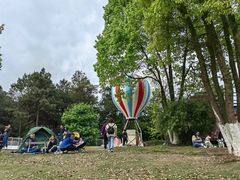 -铁山坪森林公园