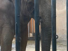 -石家庄市动物园