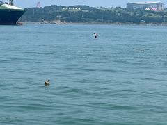 -海驴岛(荣成市)