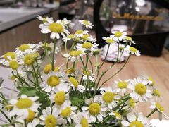 -GOTLOT COFFEE&KITCHEN角落厨房NOOK店