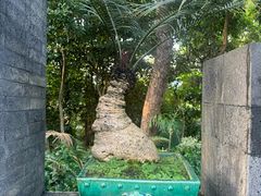 -深圳仙湖植物园