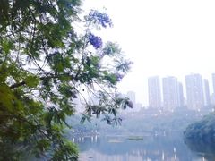 -重庆彩云湖湿地公园