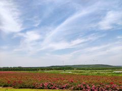 -南京枫彩漫城