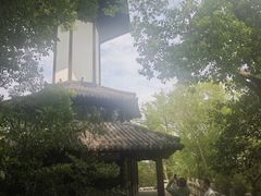 -上海佘山国家森林公园天马山园