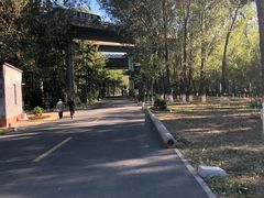-东郊湿地公园