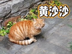 -颐和园