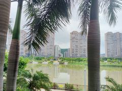 -龙江公园