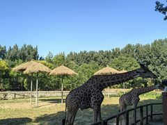 -北京野生动物园