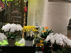 -王府茶楼茶宴·创意菜(朝阳公园店)