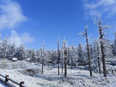 -瓦屋山景区