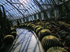-深圳仙湖植物园