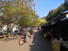 -灵岩山风景区